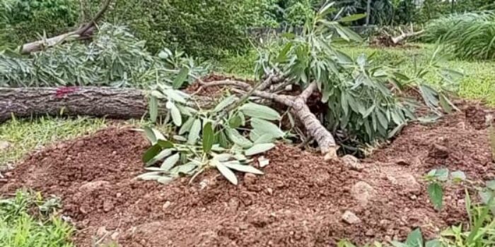 01-23-23-pohoncabut1