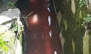 IMG_20221014_144626