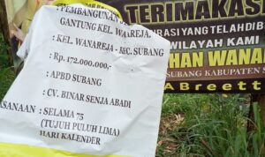 IMG-20221119-WA0035