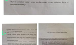 IMG-20240726-WA0028