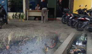 IMG-20250214-WA0032